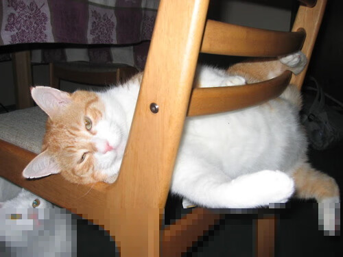 APEX英雄 新版本平衡性获得好评,apex第十赛季平衡