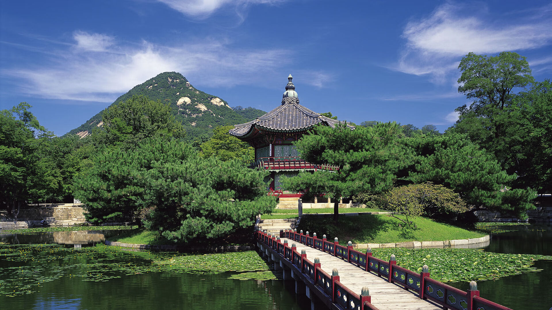 爱游戏登录入口-2025年度十大精彩瞬间盘点，激励未来新星