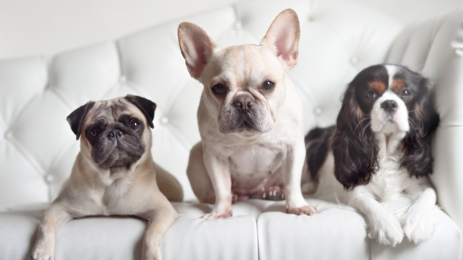 NBA联盟推行环保新规,运动和绿色同行,nba保护条例